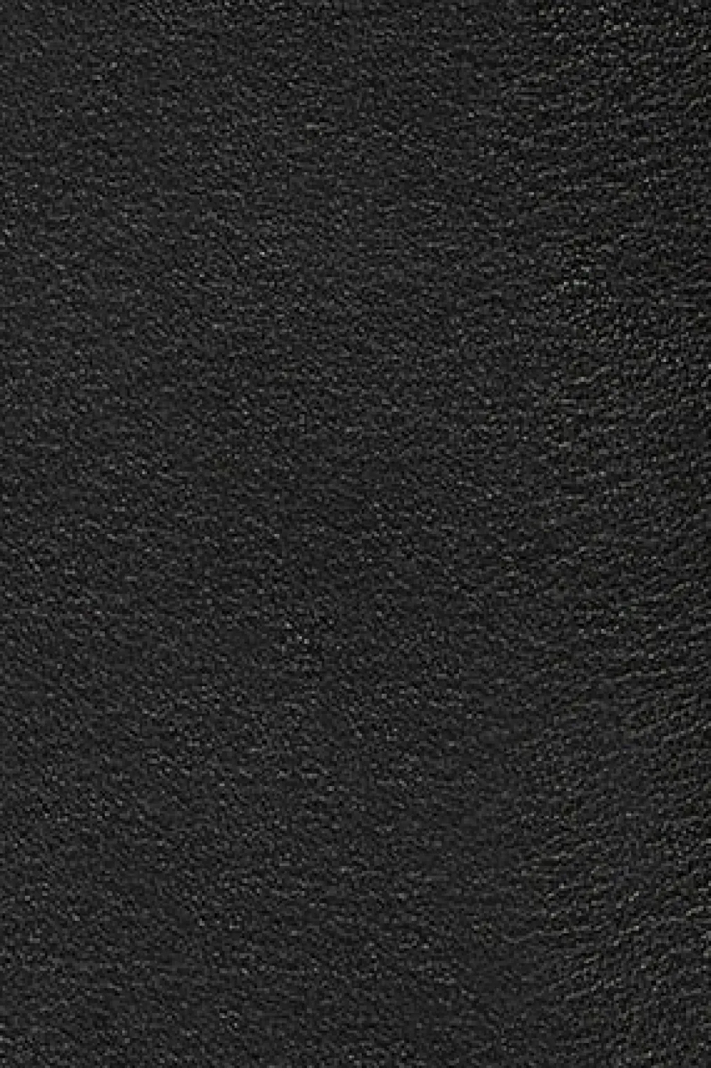 Polo Club Chaussures*Bottines Ryta en cuir avec logo Noir