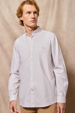 Polo Club Chemises*Chemise Oxford marron à rayures yale avec logo brodé Brun