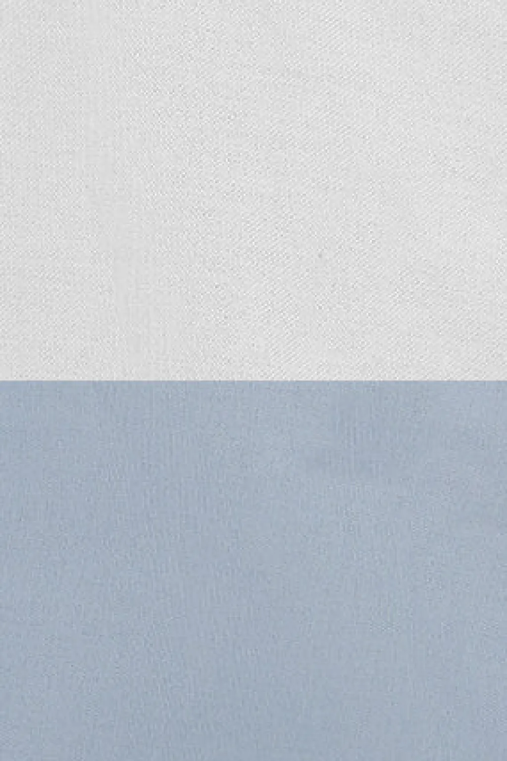 Polo Club Chemises|Packs*Lot de deux chemises regular bleu ciel et blanche avec logo Rigby Go Multicolore