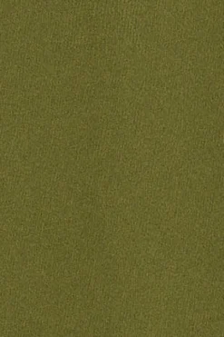 Polo Club Polos*Polo vert avec broderie Rigby Go Vert mousse