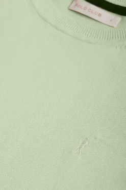 Polo Club Pulls*Pull basique vert pâle en maille à col ras du cou et logo Rigby Go Vert Clair