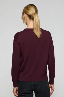 Polo Club Pulls*Pull en maille couleur prune à col en V et logo brodé Rigby Go Ciruela