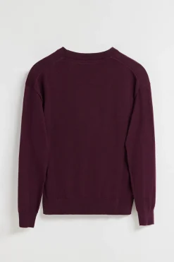 Polo Club Pulls*Pull en maille couleur prune à col en V et logo brodé Rigby Go Ciruela