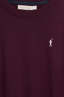 Polo Club Pulls*Pull en maille couleur prune à col en V et logo brodé Rigby Go Ciruela