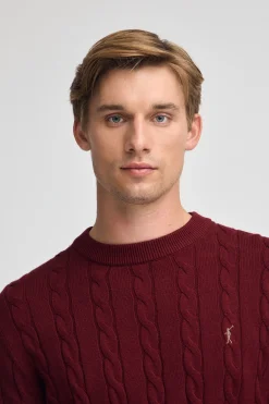 Polo Club Pulls*Pull en maille tressée en laine mélangée avec broderie Rigby Go Grenat