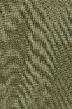 Polo Club Pulls*Pull vert clair à col en V en coton et en lin avec un monogramme brodé Vert sauge