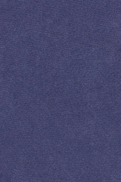 Polo Club Pulls*Pull violet bleuté à fermeture éclair partielle garment dye et logo brodé Bleu Violet