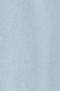 Polo Club Sweat-Shirts*Sweat bleu clair boxy fit à logo caoutchouté Bleu ciel