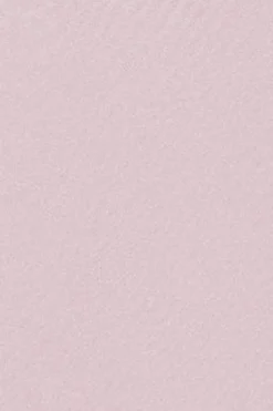 Polo Club Sweat-Shirts*Sweat-shirt à capuche pâle avec logo brodé Rigby Go Rose