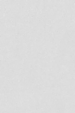 Polo Club Sweat-Shirts*Sweat-shirt à col ras du cou avec logo brodé Rigby Go Blanc