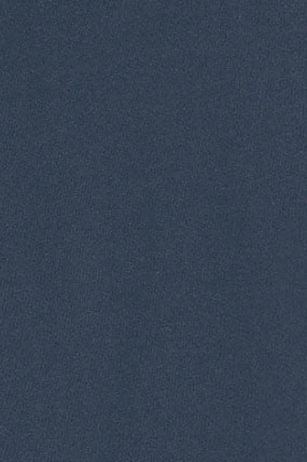 Polo Club Sweat-Shirts*Sweat-shirt à effet délavé avec logo Rigby Go Bleu Marine