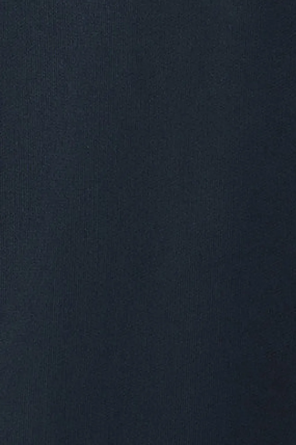 Polo Club Sweat-Shirts*Sweat-shirt avec capuche et logo established 2012 Bleu Marine