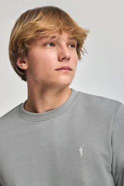 Polo Club Sweat-Shirts*Sweat-shirt détente à col ras du cou et broderie Rigby Go Gris