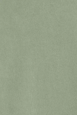Polo Club Sweat-Shirts*Sweat-shirt à effet délavé avec logo Rigby Go Vert Pâle