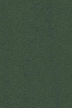 Polo Club T-Shirts*T-shirt à manches longues vert avec logo brodé Rigby Go Vert chaud