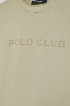 Polo Club T-Shirts*T-shirt Apolo teint sur le fil, couleur , avec logo en velours Pierre