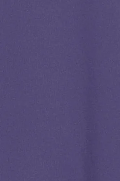 Polo Club T-Shirts*T-shirt à col ras du cou et logo caoutchouté Bleu Violet