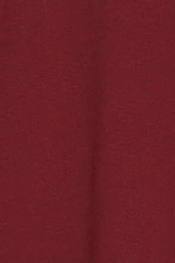 Polo Club T-Shirts*T-shirt à col en V et logo brodé Rigby Go Grenat