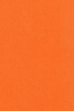 Polo Club T-Shirts*T-shirt garment dye avec détail Orange