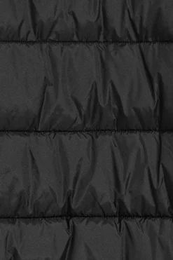 Polo Club Vestes*Veste matelassée e Canyon avec des détails Noir