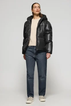Polo Club Vestes*Veste e courte matelassée Sidney avec des détails Noir